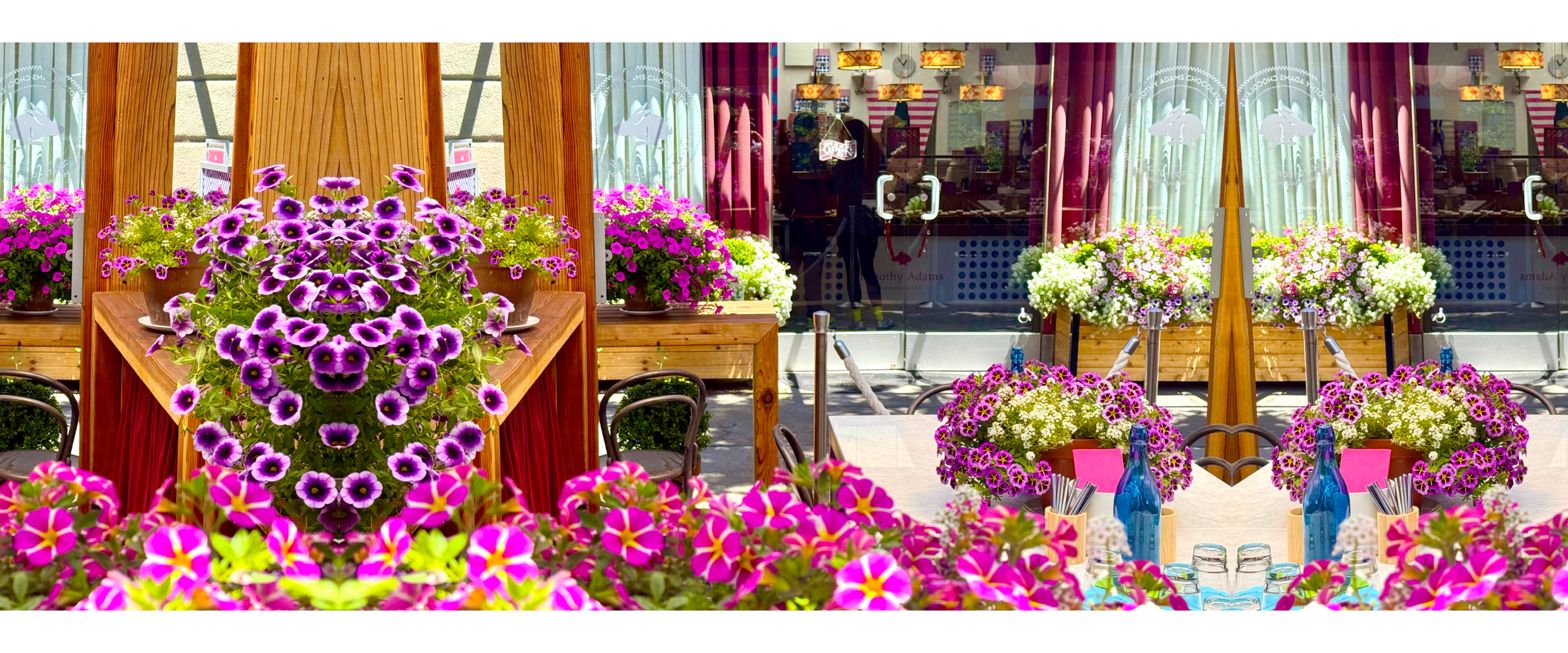 Timothy Adams Chocolates boutique in Palo Alto — a luxurious chocolate shop known for couture truffles, elegant gift boxes, and artisanal sipping chocolate.