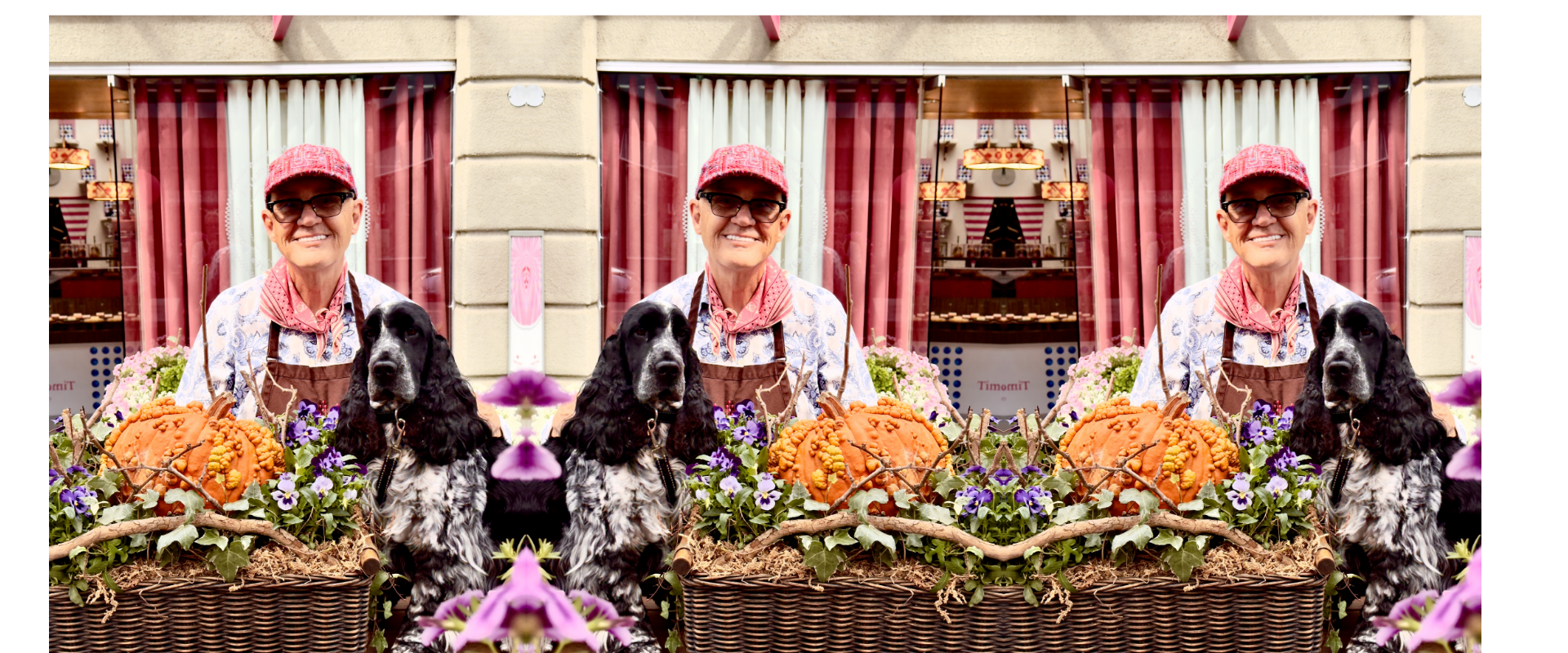 Rosie and Tim have dressed our window in the colors of autumn — pumpkins, flowers, and a touch of chocolate magic