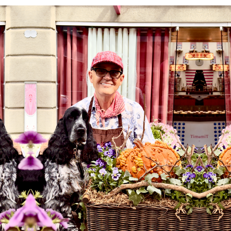 Rosie and Tim have dressed our window in the colors of autumn — pumpkins, flowers, and a touch of chocolate magic. LKVC