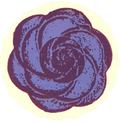 Violet